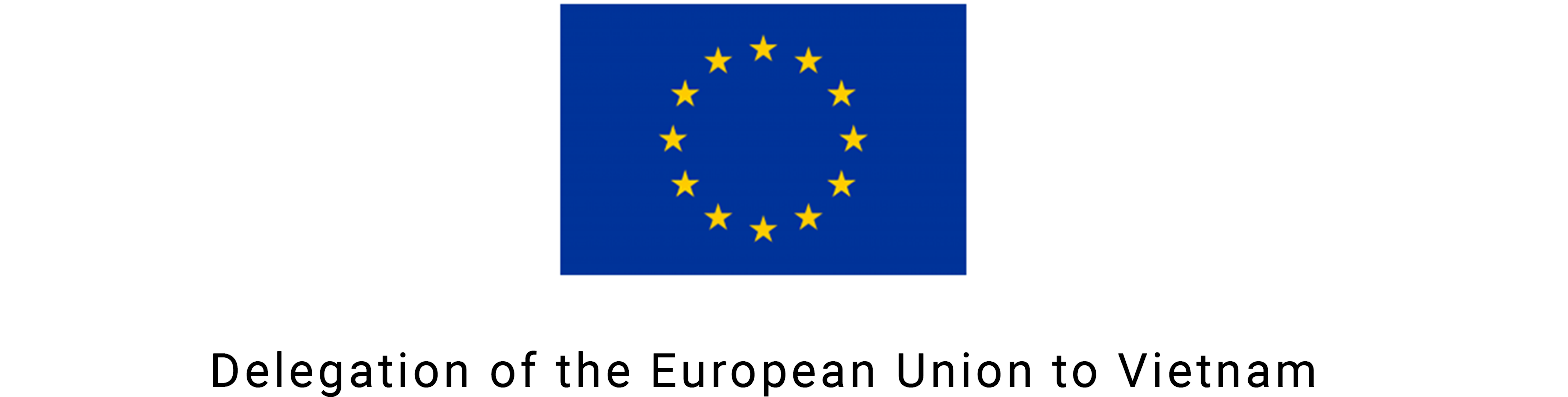 EU Delegation